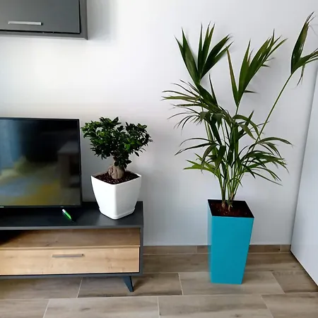 Central Apartment
